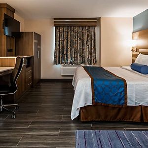 King Room Disability Access